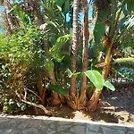 Holiday home Maricetta Castellammare del Golfo
