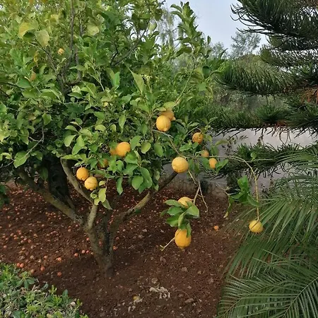 Maricetta Casa de Férias