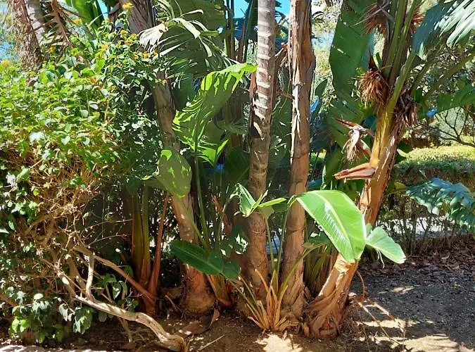 بيت للعطل Maricetta كاستيلاّماري ديل غو